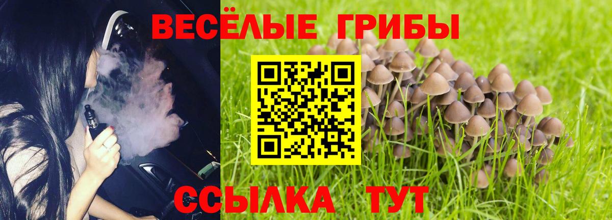 Галлюциногенные грибы мицелий Чусовой